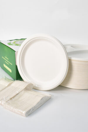 ASSIETTE PLASTIQUE 25PCS 2310-637 X 24