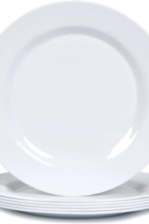 ASSIETTE PLASTIQUE 10 PARPP10D 25PCS X 20PQTS