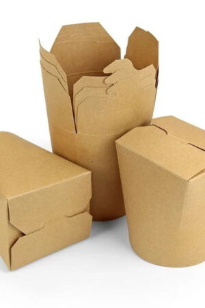 BOITE A PATTE SAFCO ECO NOODLES 560G X 420PCS