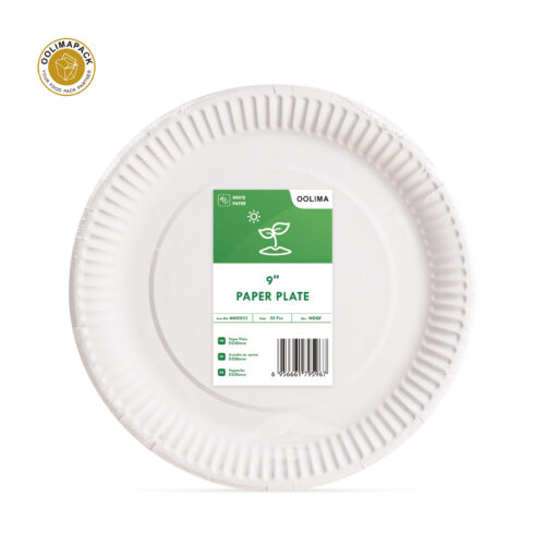 ASSIETTE PLASTIQUE 24CM