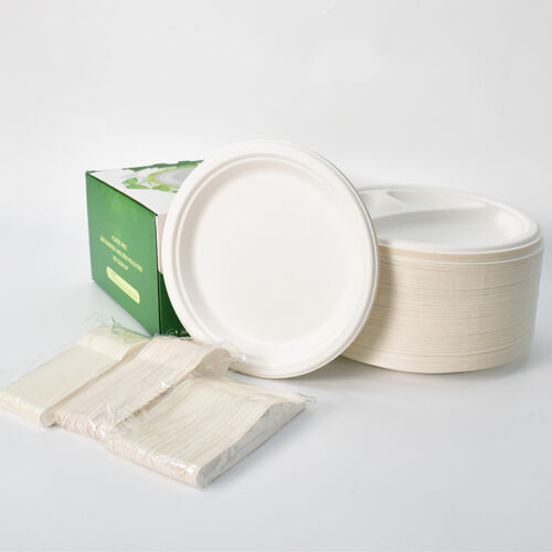 ASSIETTE PLASTIQUE 24CM